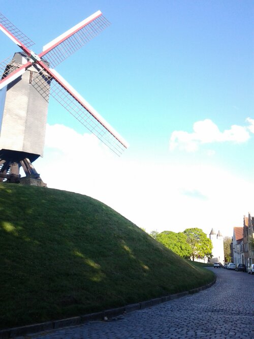 20130509_194545.jpg image