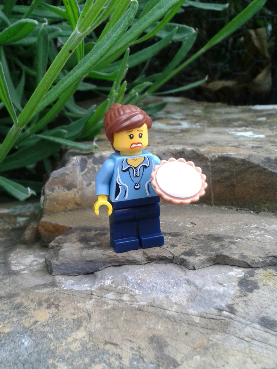 20140507_095019-1.jpg image